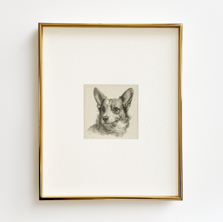 Cardigan Corgi