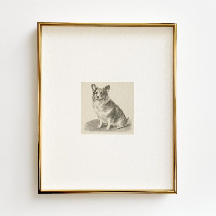 Corgi