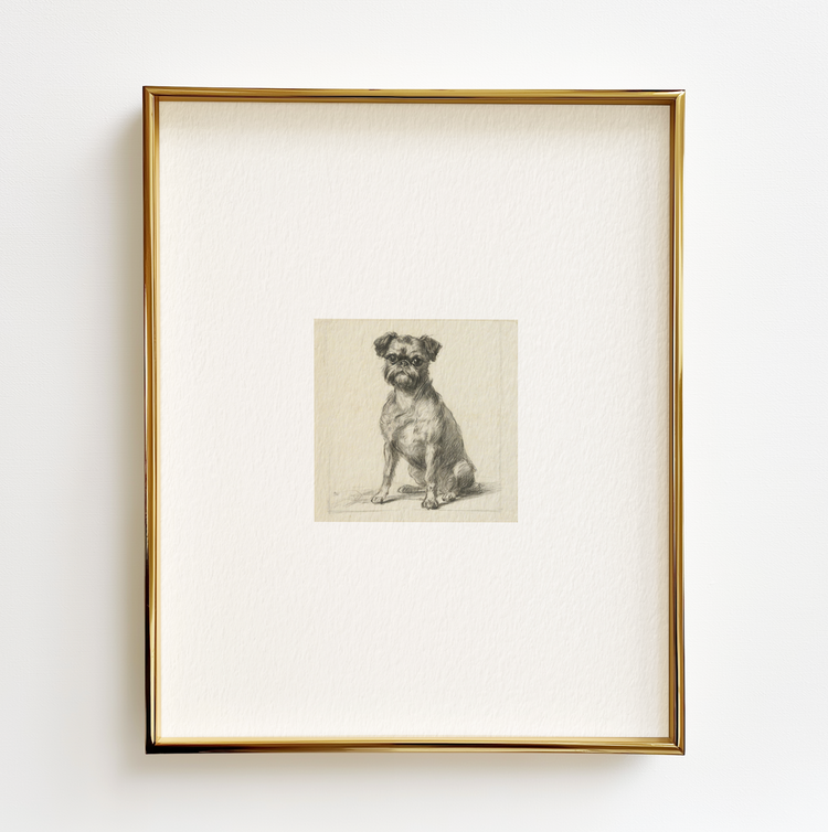 Brussels Griffon