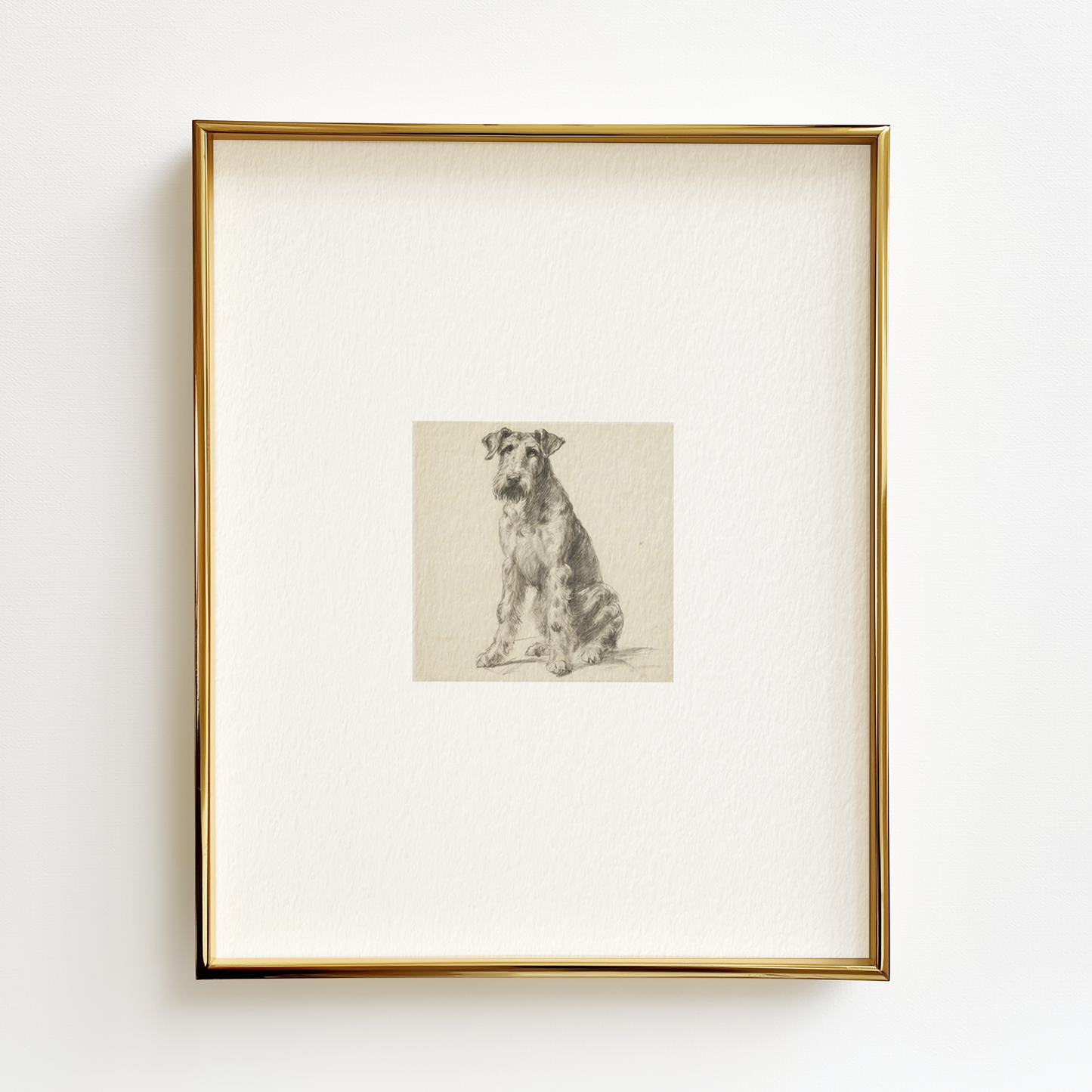 Airedale Terrier Edition .02