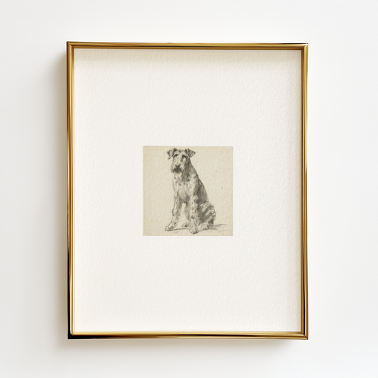 Airedale Terrier Edition .02