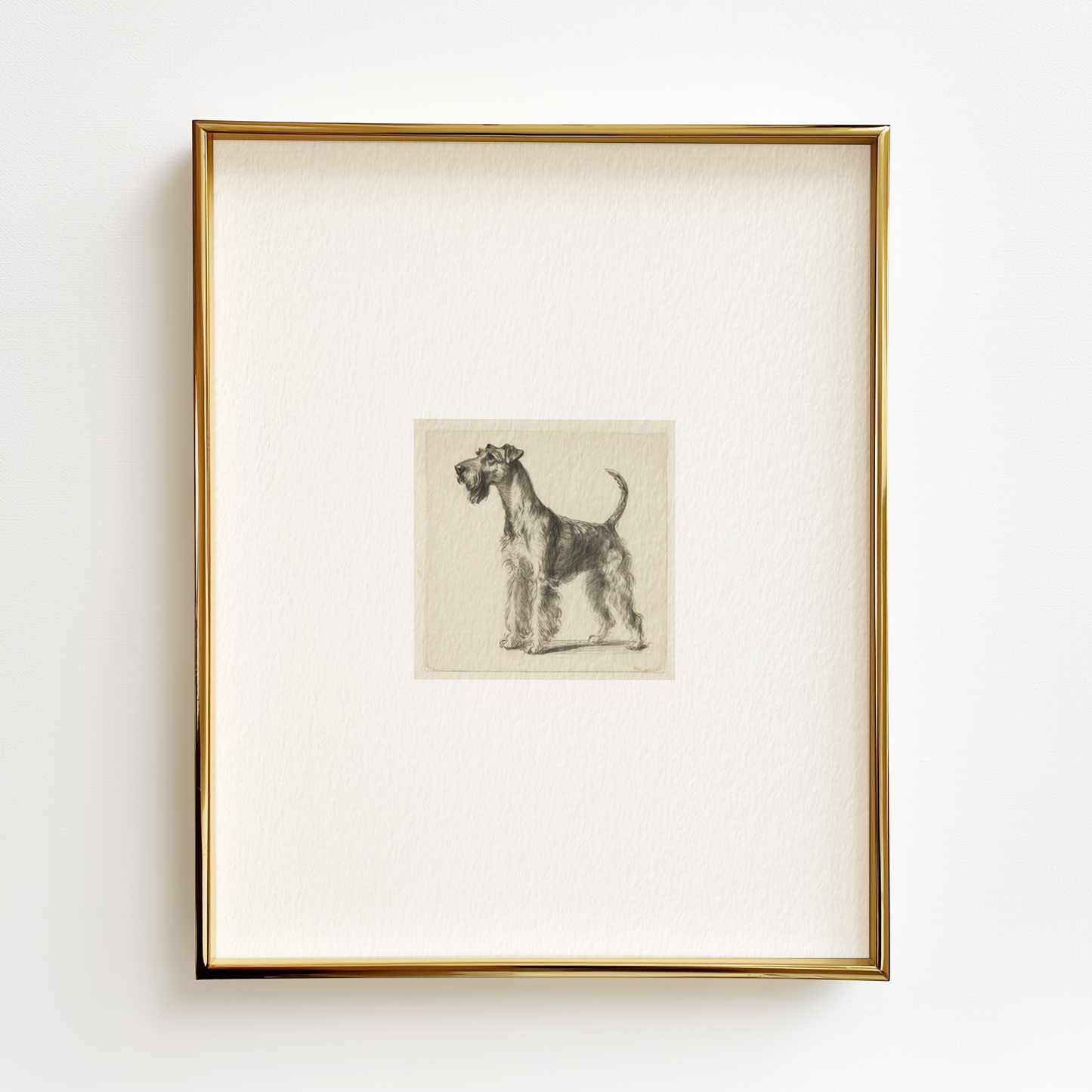 Airedale Terrier Edition .03