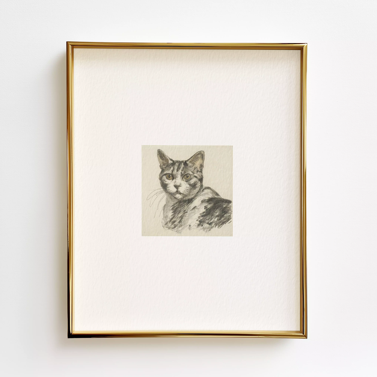 American Shorthair Edition .01