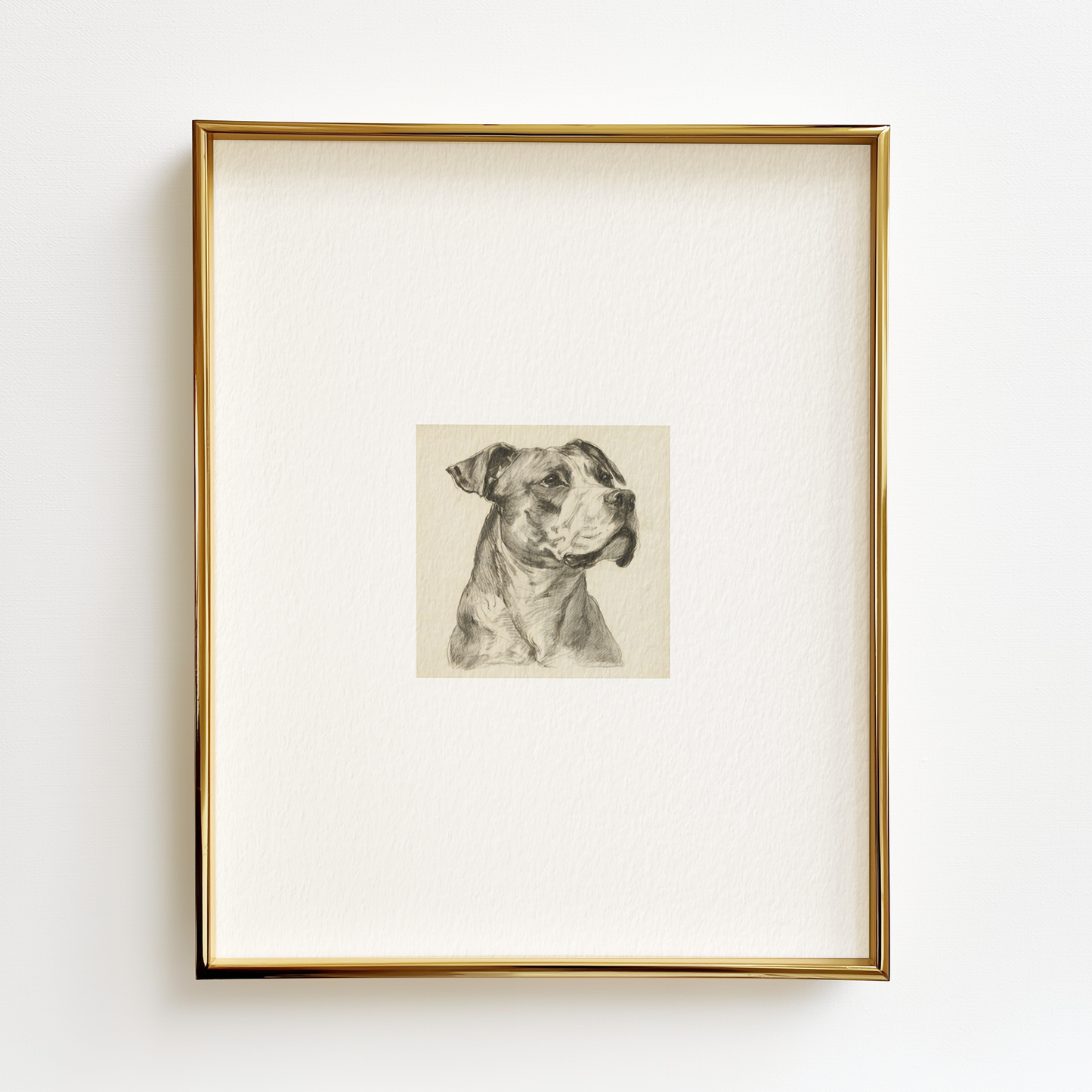 American Staffordshire Terrier Edition .01