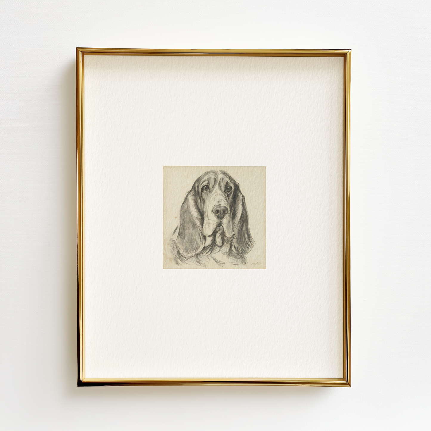 Basset Hound Edition .01