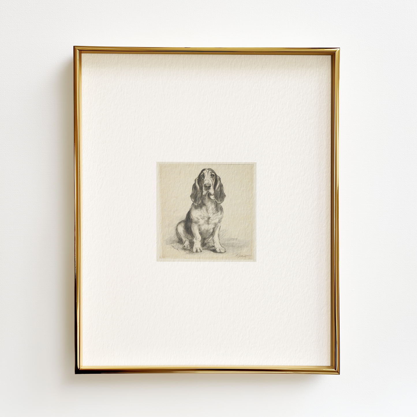 Basset Hound Edition .02