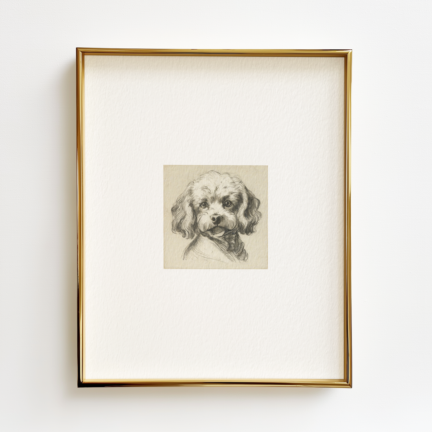 Bichon Frise Edition .01