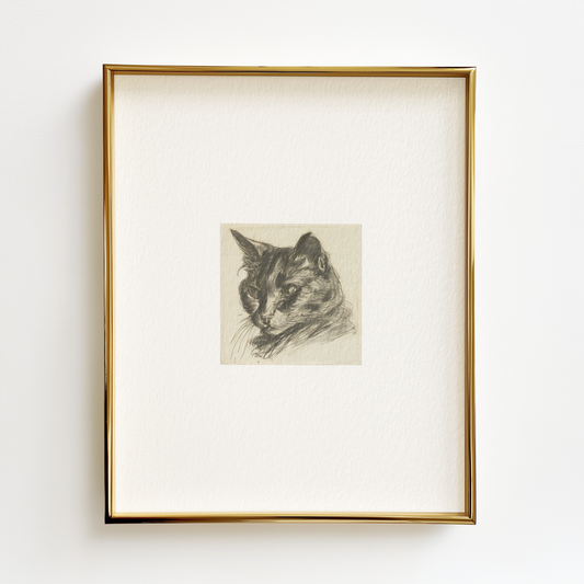 Black Cat Edition .01