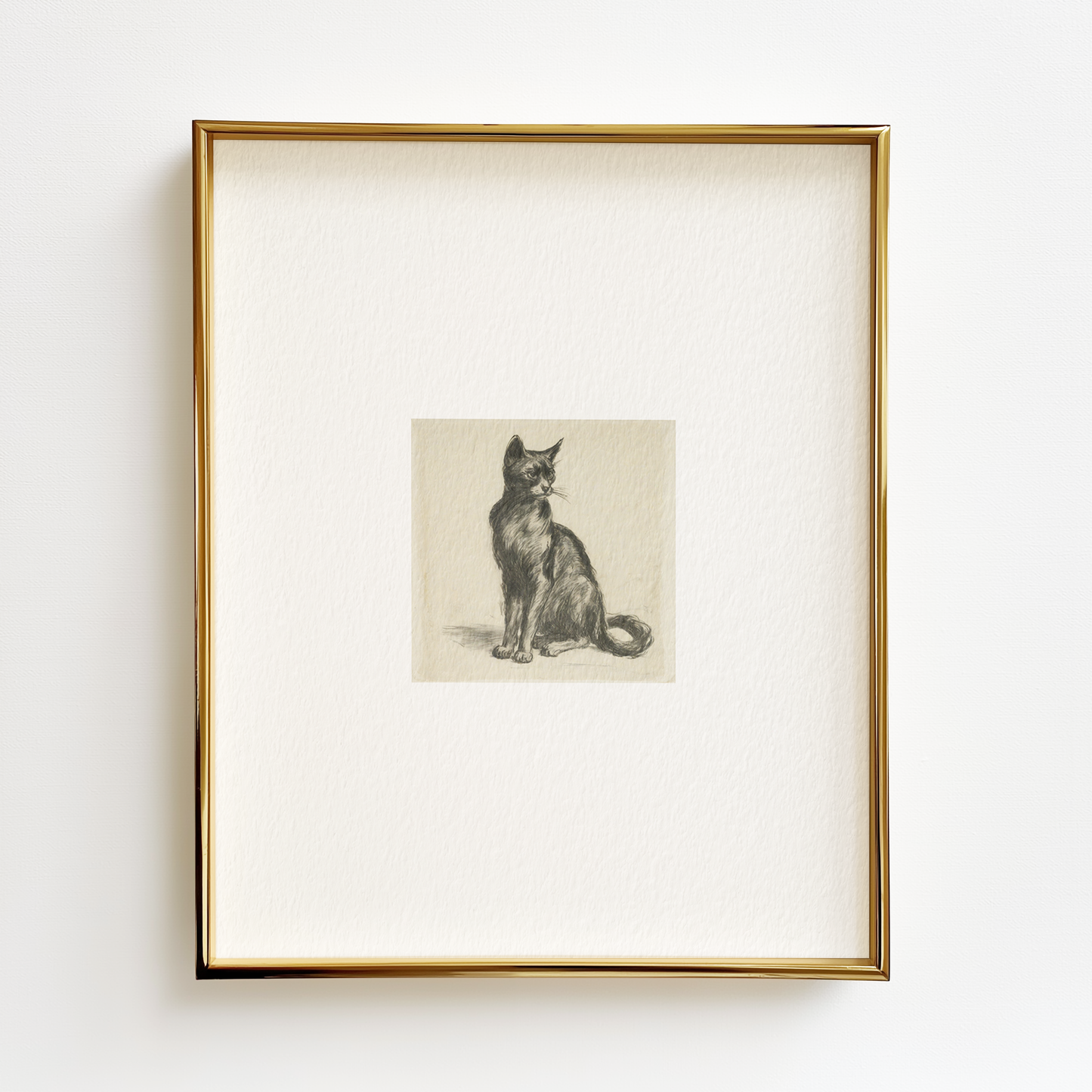 Black Cat Edition .02