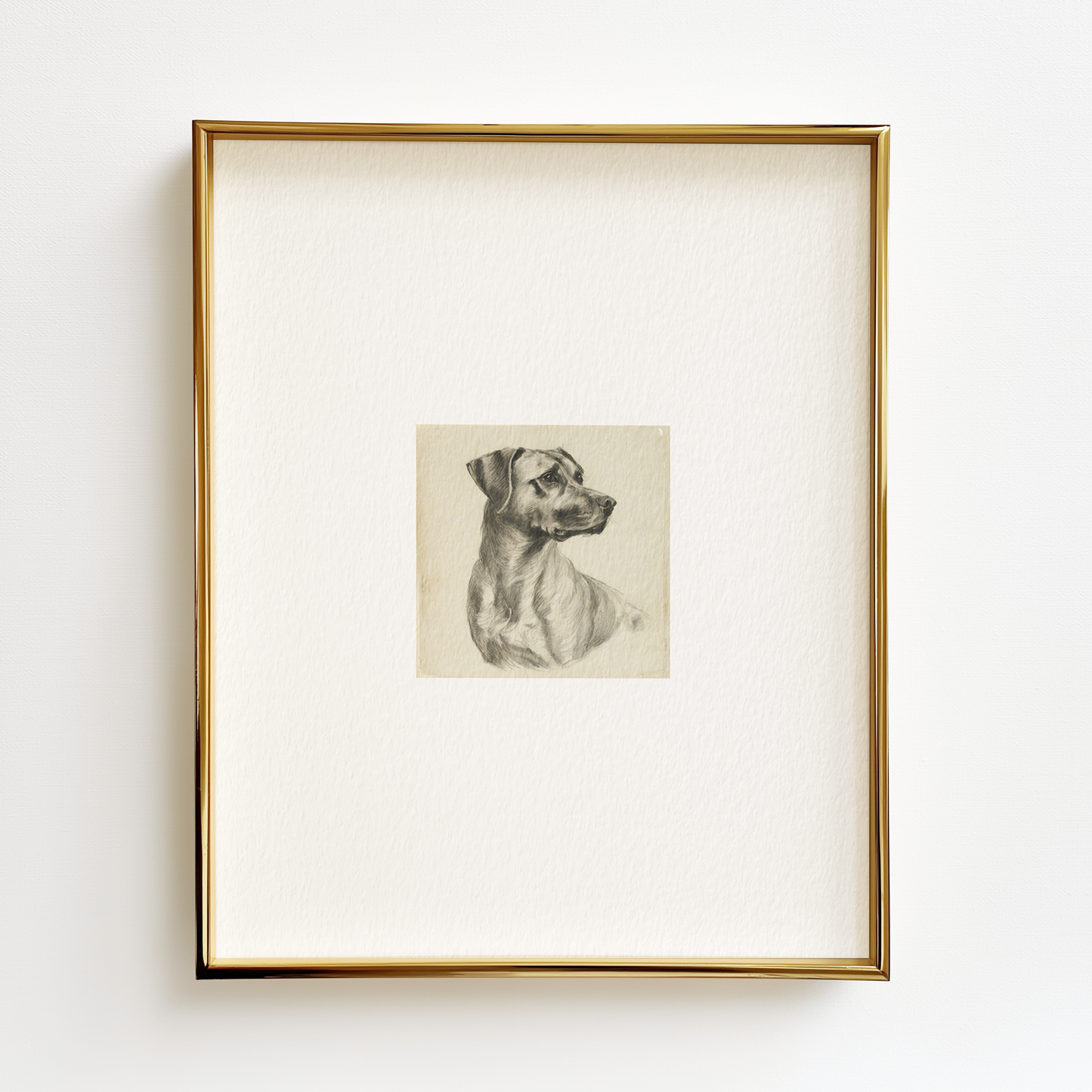 Black Mouth Cur Edition .01