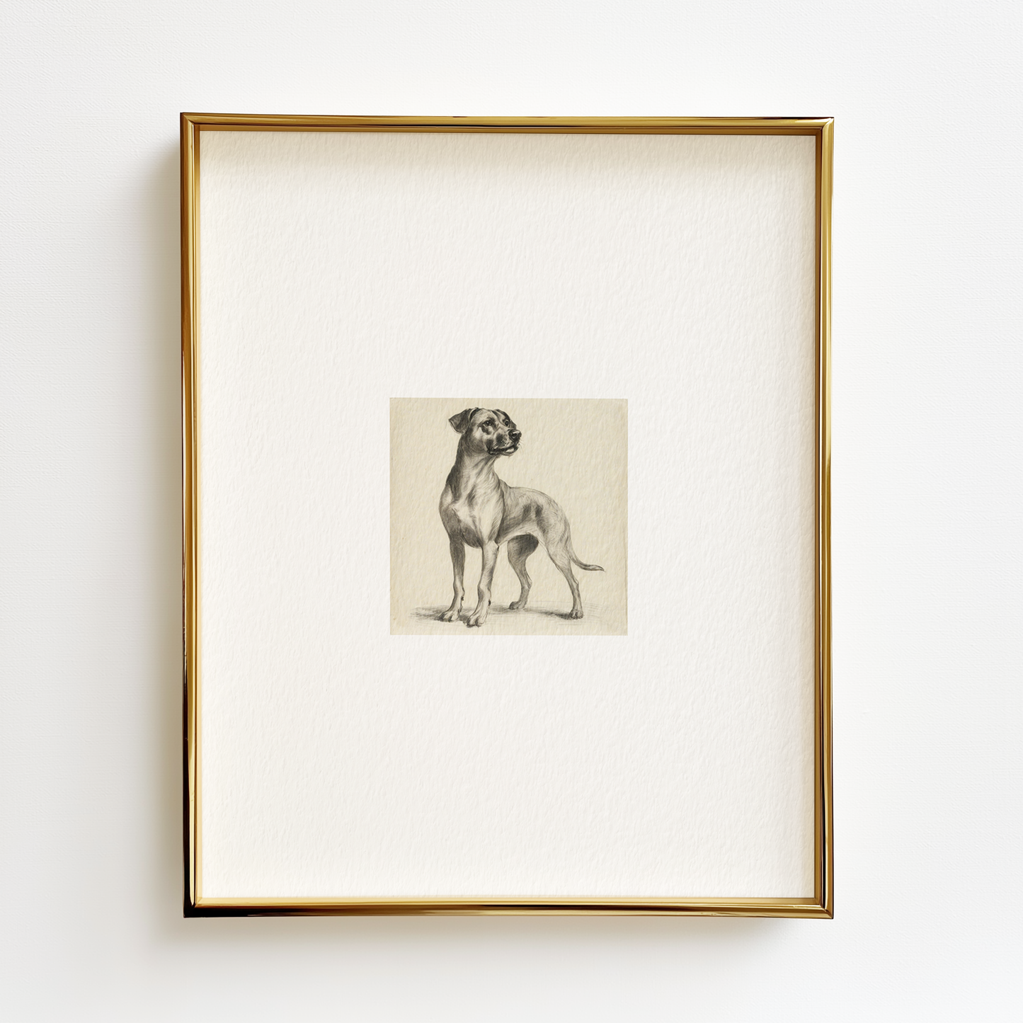 Black Mouth Cur Edition .03