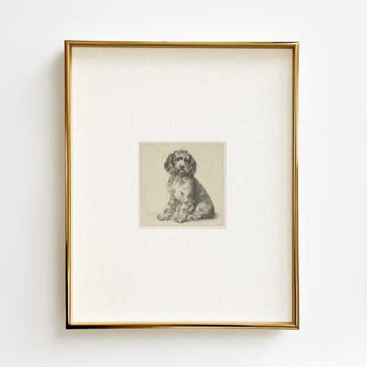 Cockapoo Edition .02