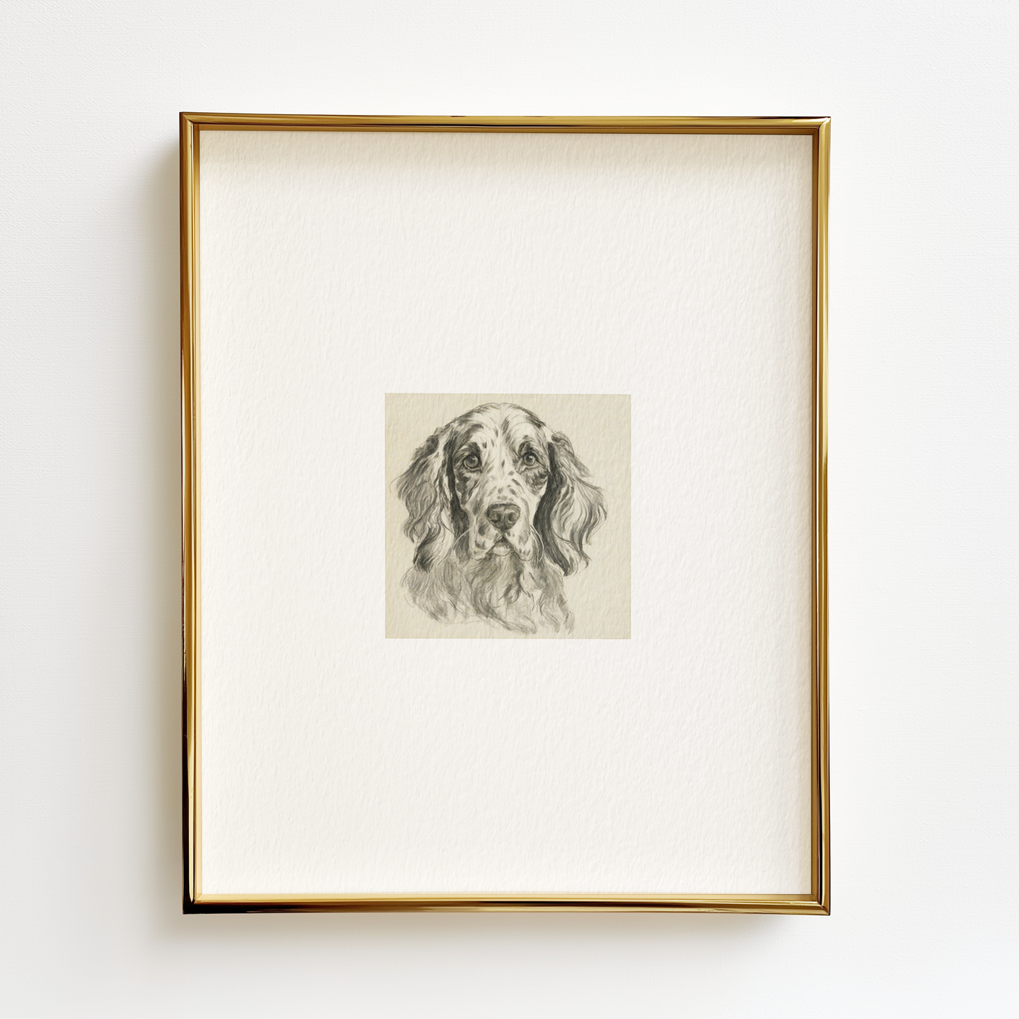 English Setter Edition .01