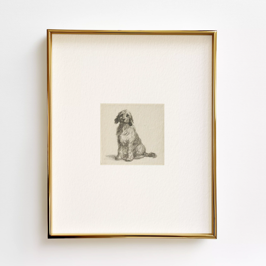 Goldendoodle Edition .01