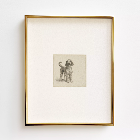 Goldendoodle Edition .02