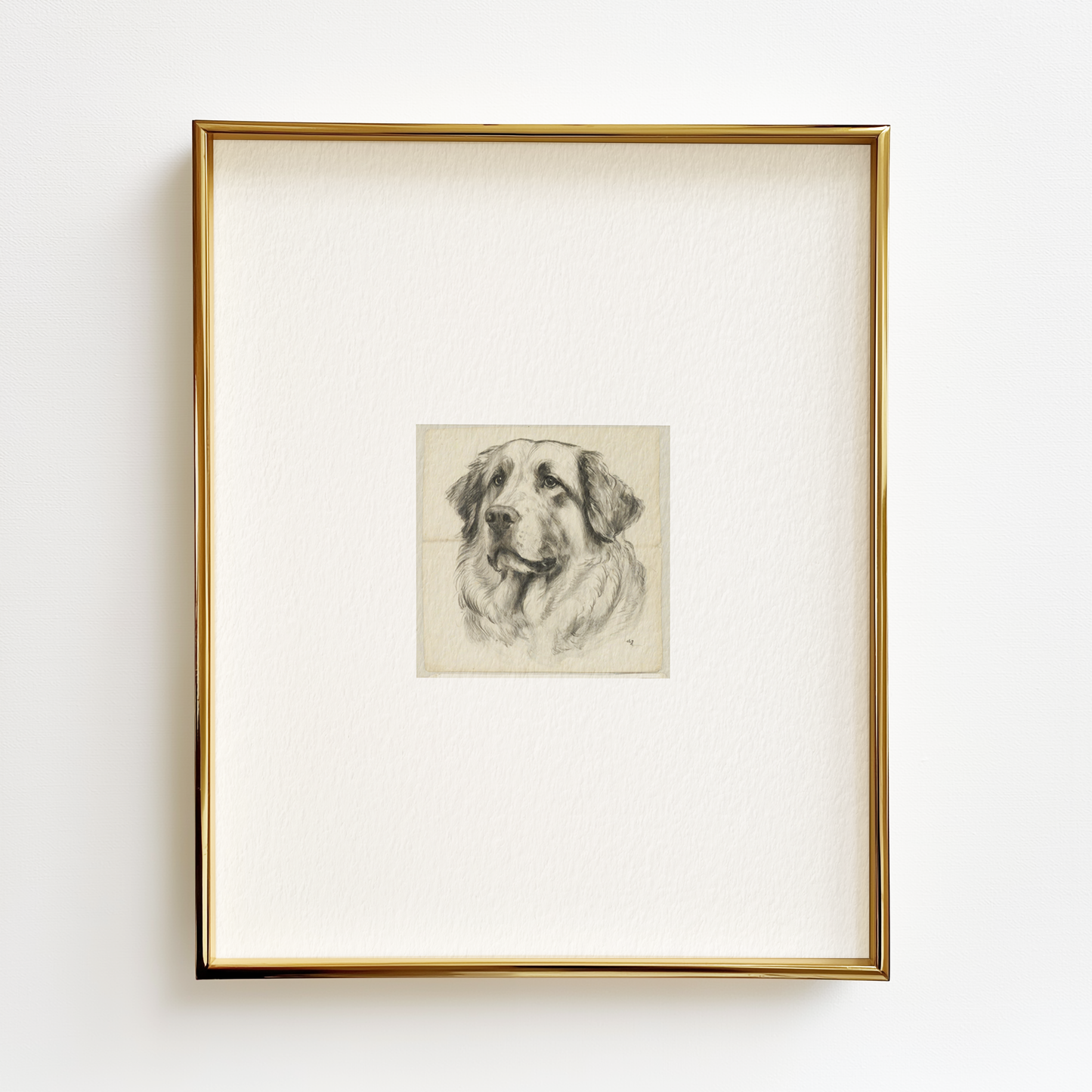 Great Pyrenees Edition .01