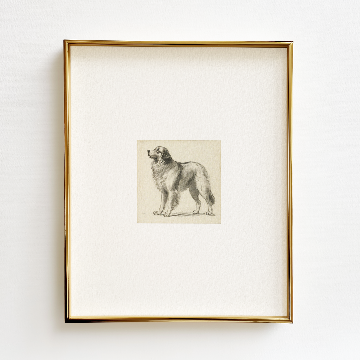 Great Pyrenees Edition .03