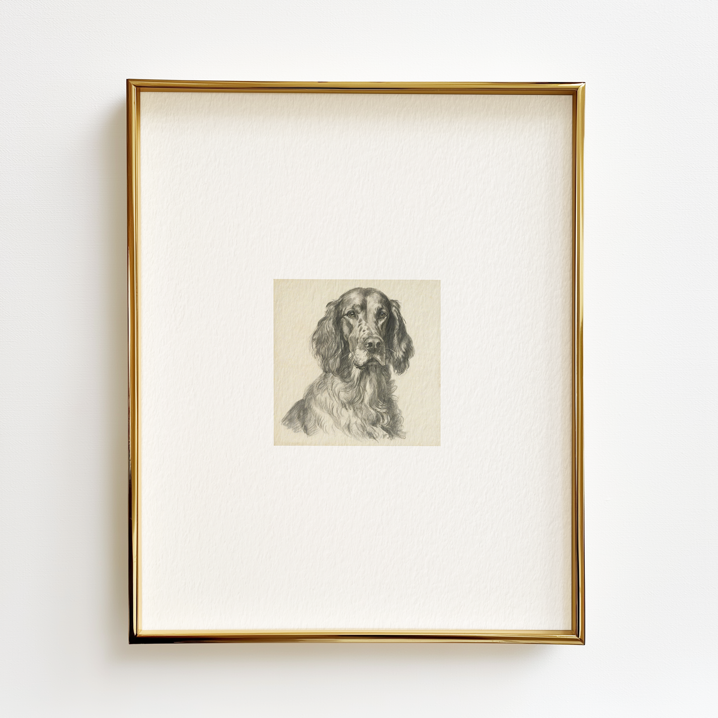 Irish Setter Edition .01