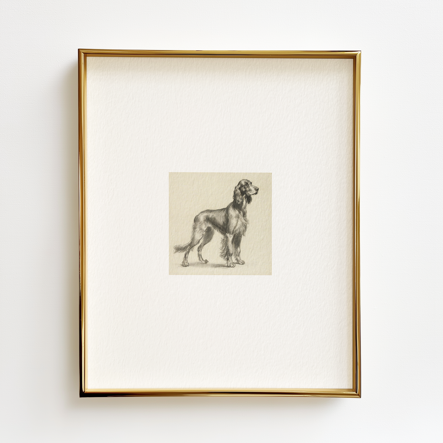 Irish Setter Edition .03