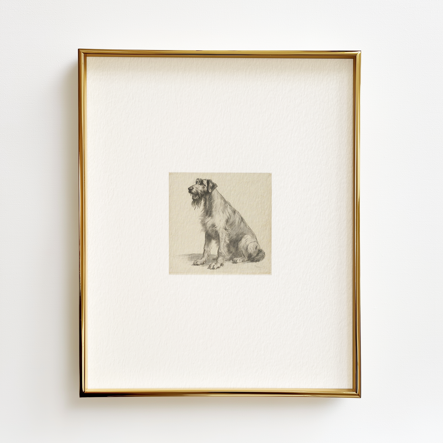 Irish Wolfhound Edition .02