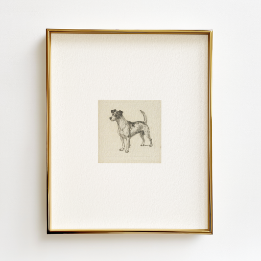 Jack Russell Terrier Edition .03