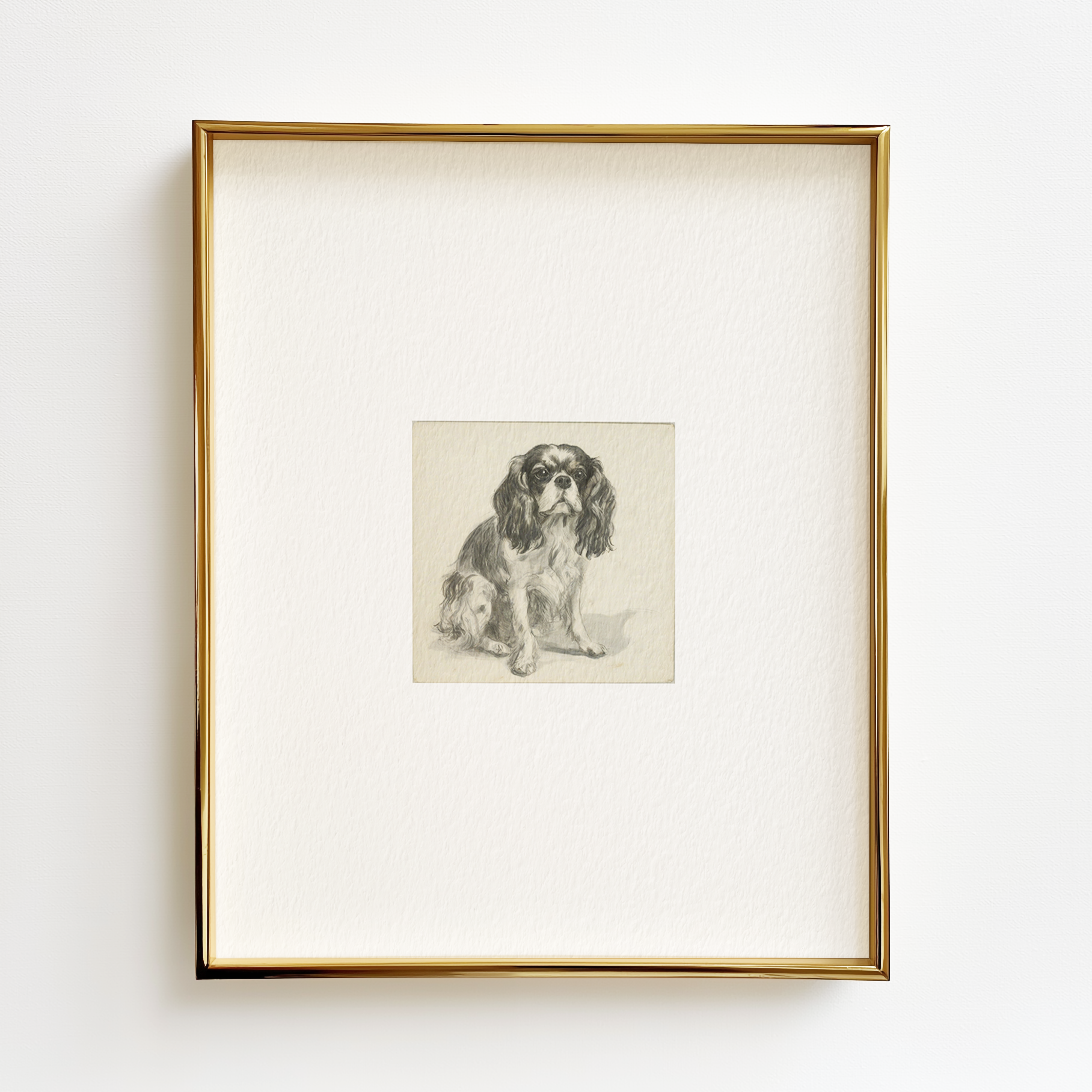 Cavalier King Charles Edition .02