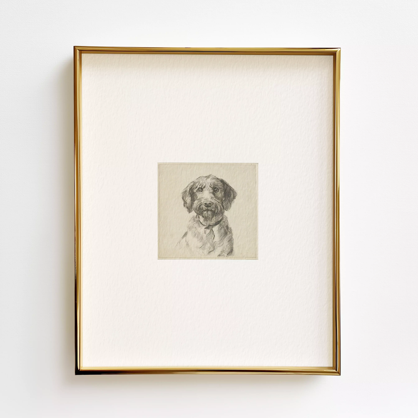 Labradoodle Edition .01