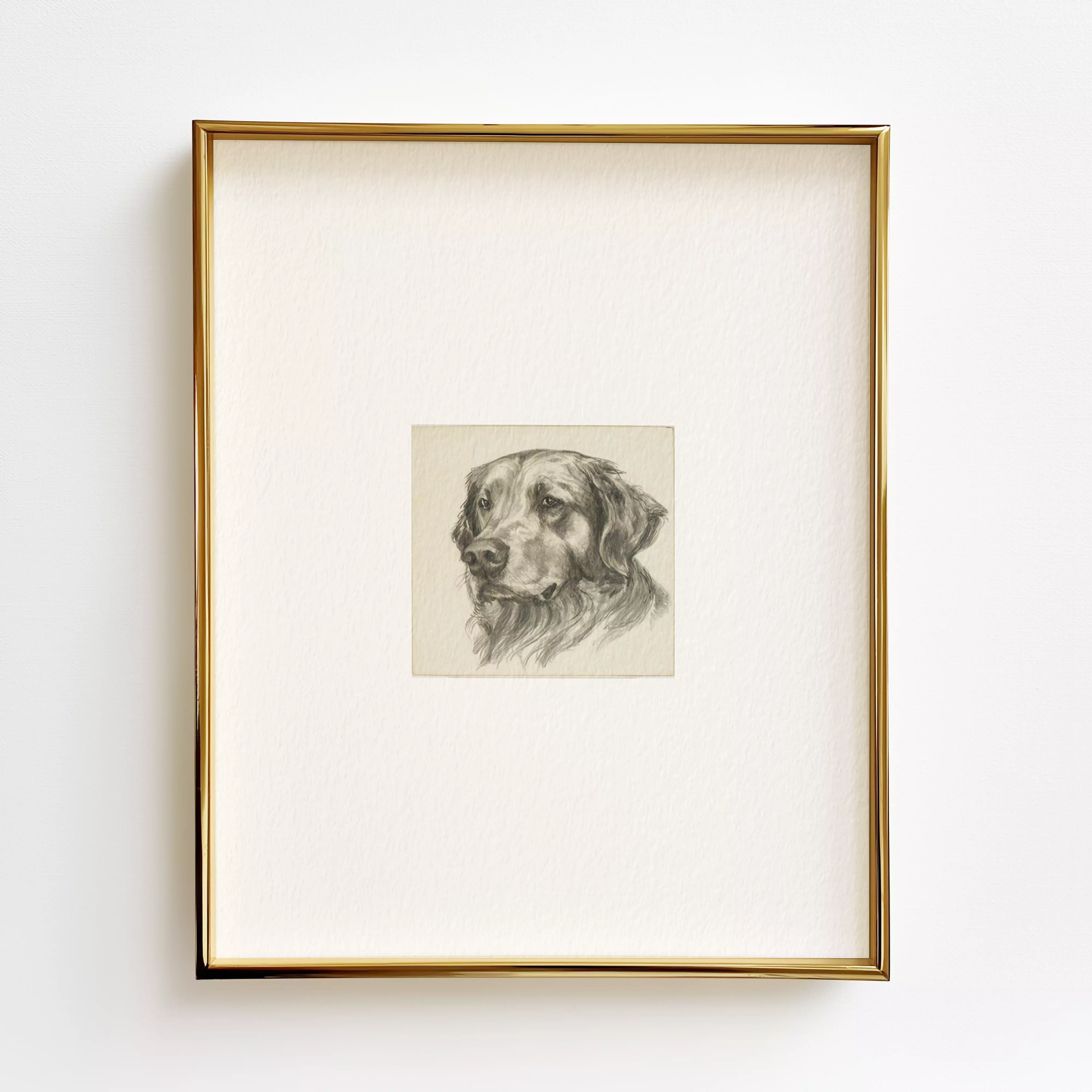 Golden Retriever Edition .01 - 8x10