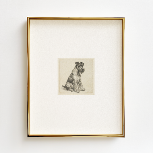 Schnauzer Edition .03