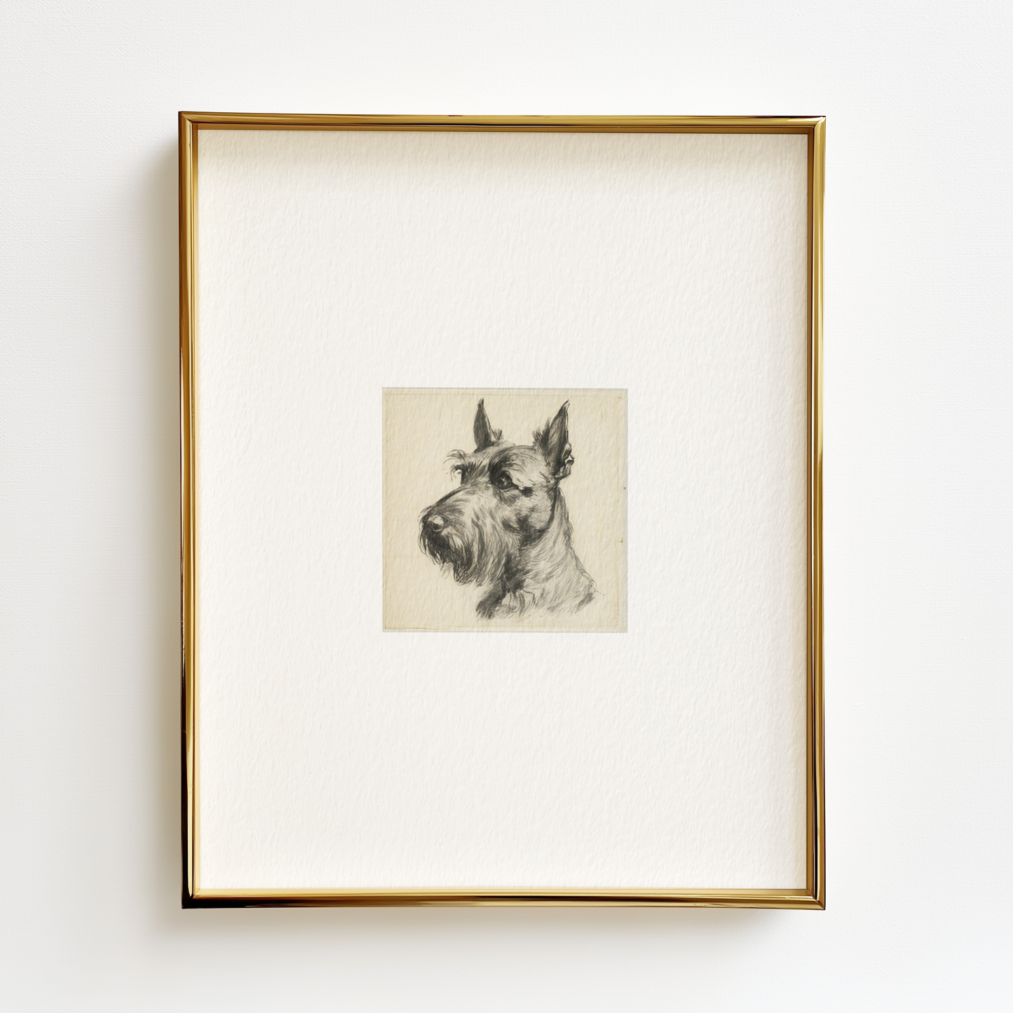 Scottish Terrier Edition .01