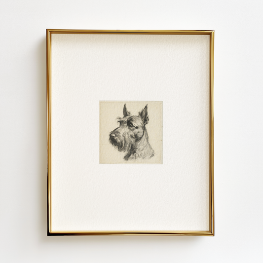 Scottish Terrier Edition .01