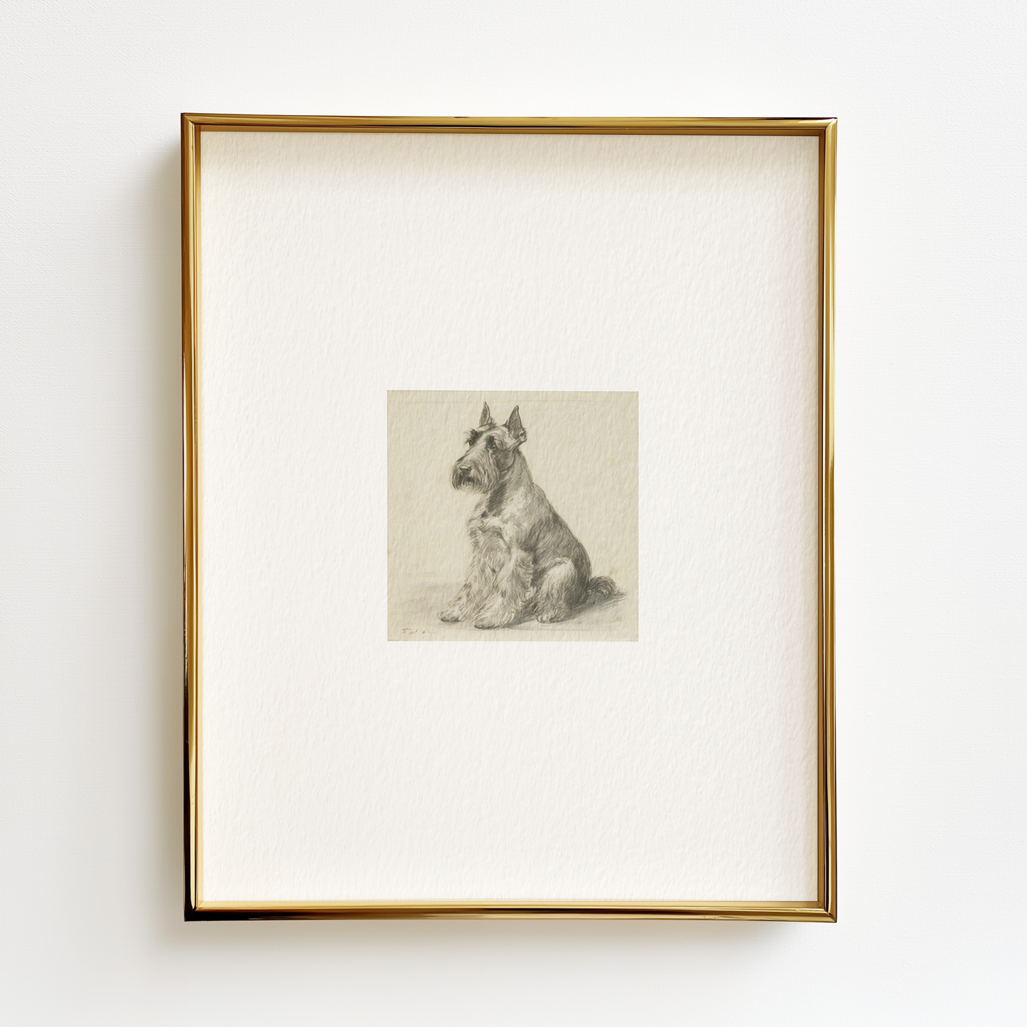 Scottish Terrier Edition .02