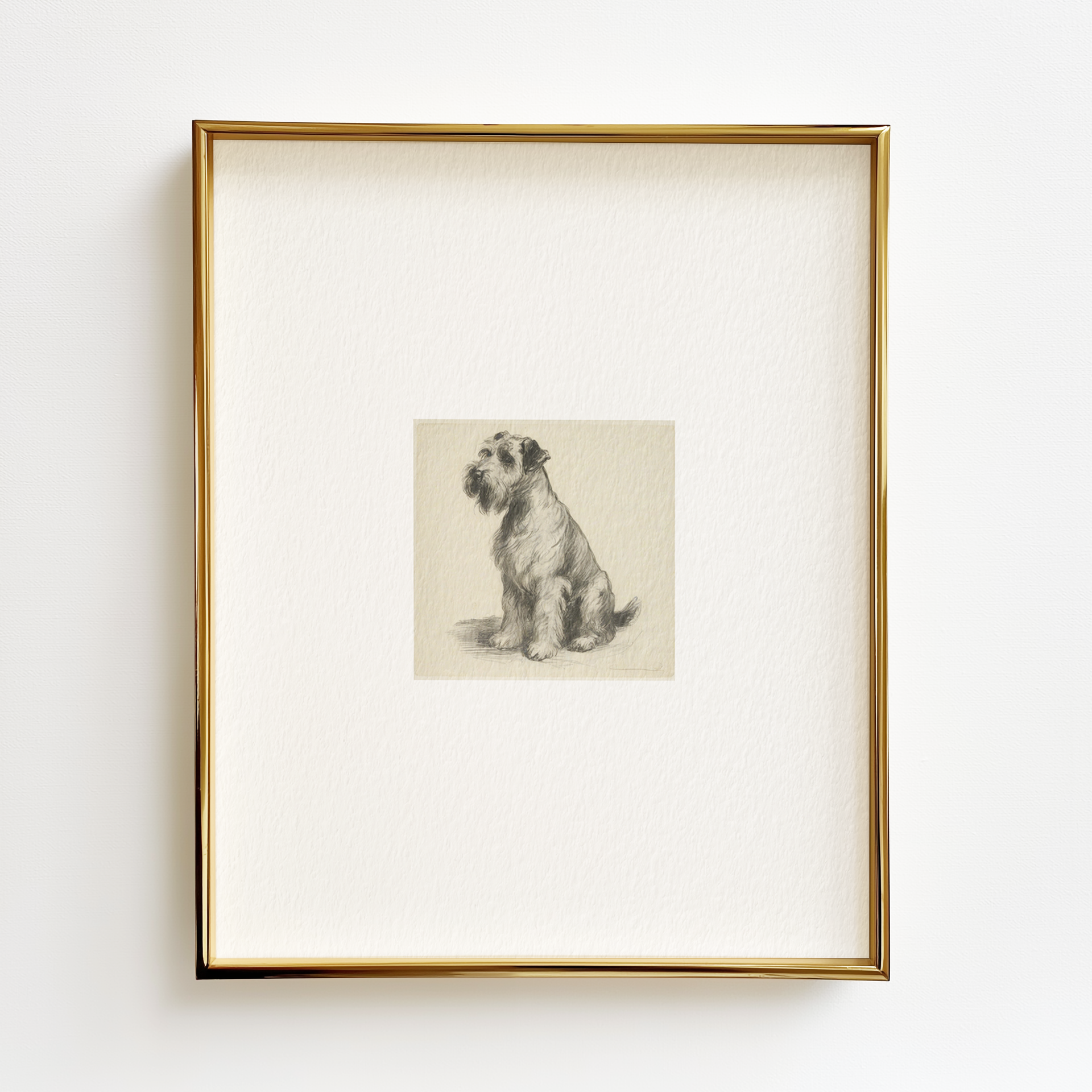 Soft-Coated Wheaten Terrier Edition .02 - 8x10