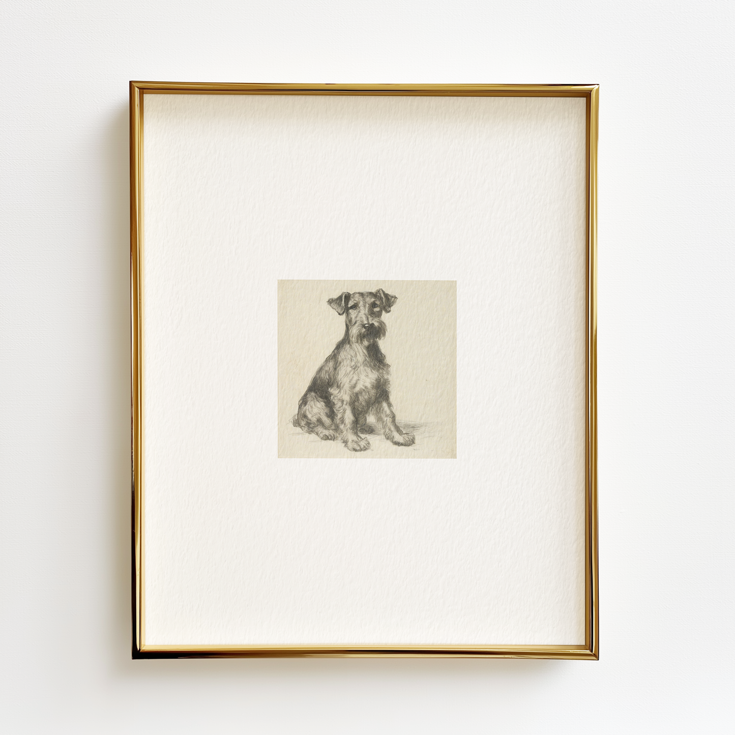 Welsh Terrier Edition .02