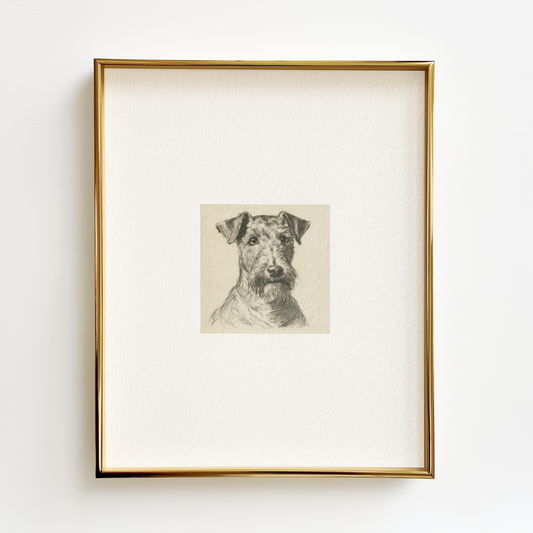 Welsh Terrier Edition .01